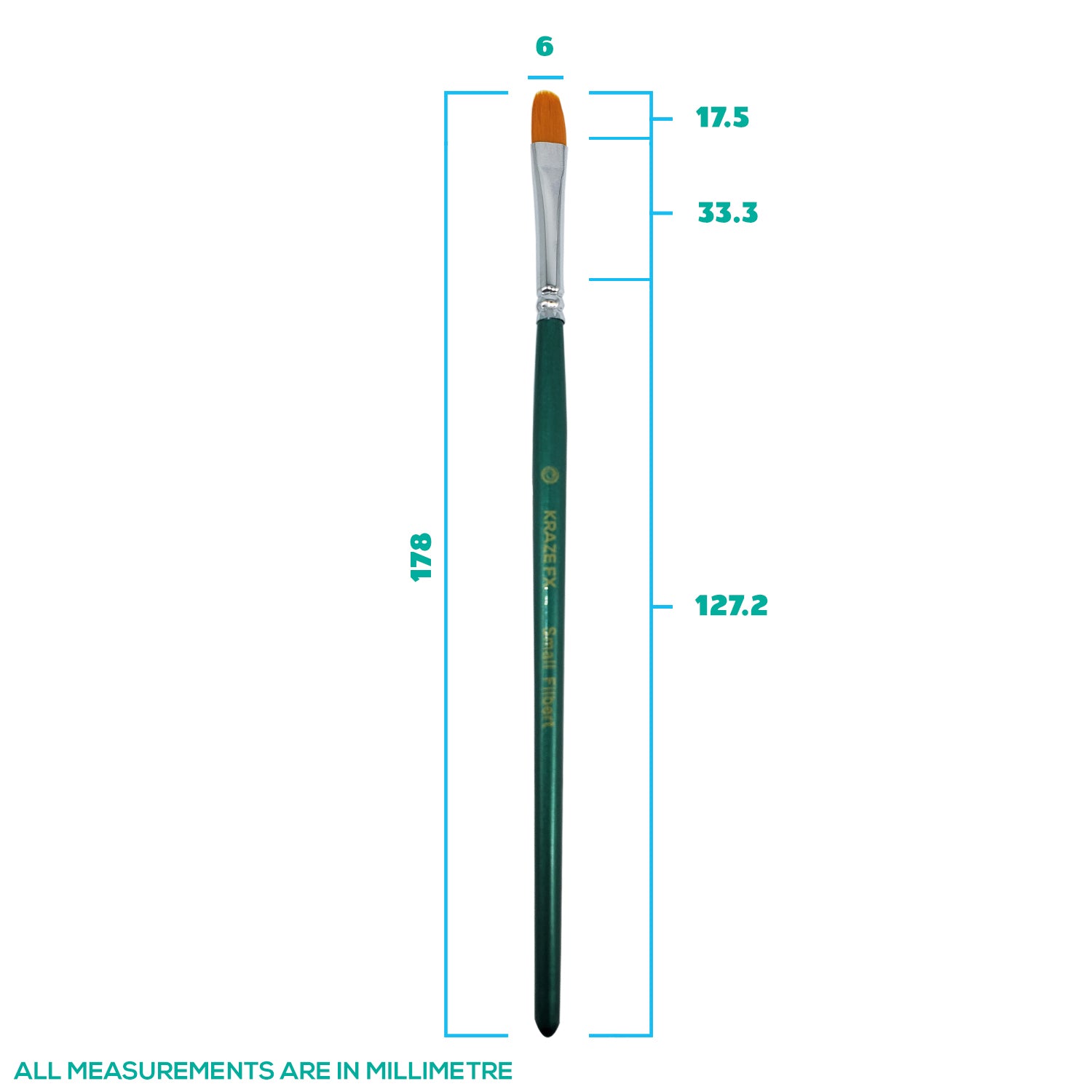 Face Painting Brush - TAG - Filbert #12 (3/4)